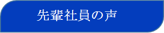 先輩社員の声